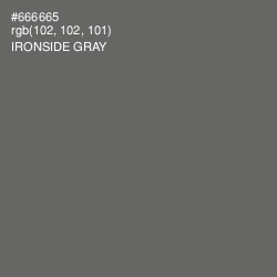 #666665 - Ironside Gray Color Image